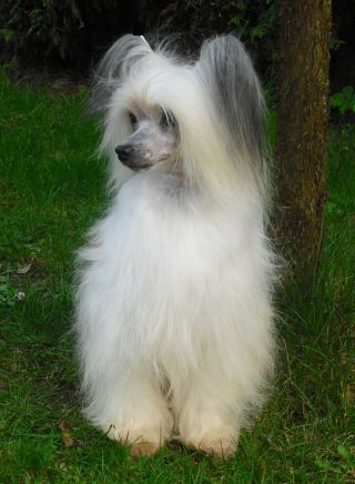 Do You Play Top Model De Rama