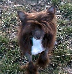 Kamaji Take Me On HL