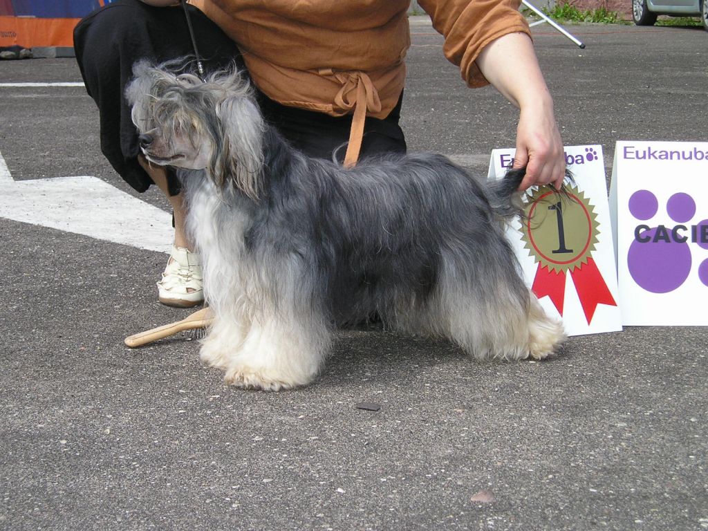 Vivat Sanraiz Plenty Of Plesure