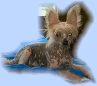 Pinky vom Rosenstolz