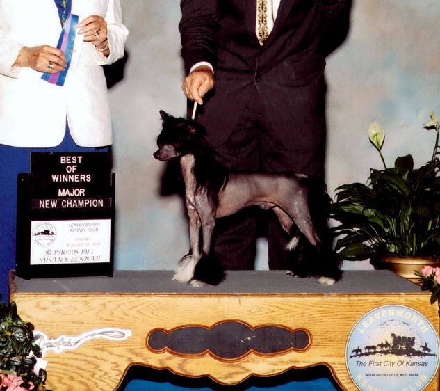 Daretobebares Cassanova