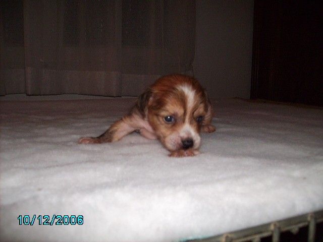 No Jacket Required de GabriTho