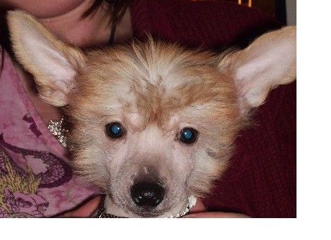 Nespresso, what else de GabriTho