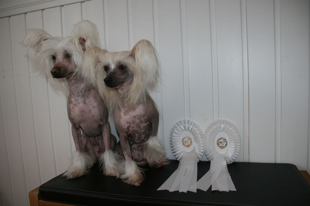 Luminara's Final Fantasy