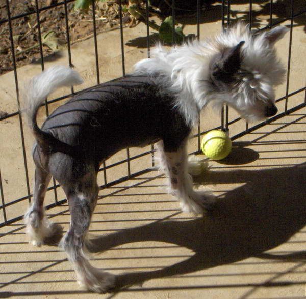 Xioma Fire In The Blood