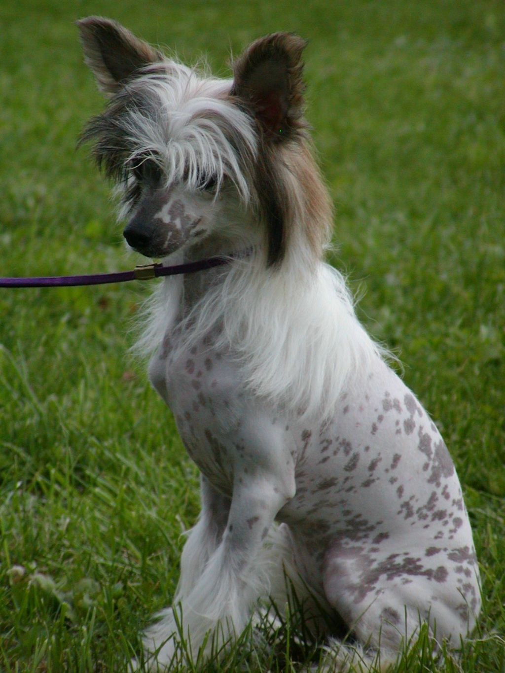 C-Cruz The Other Side Of Me