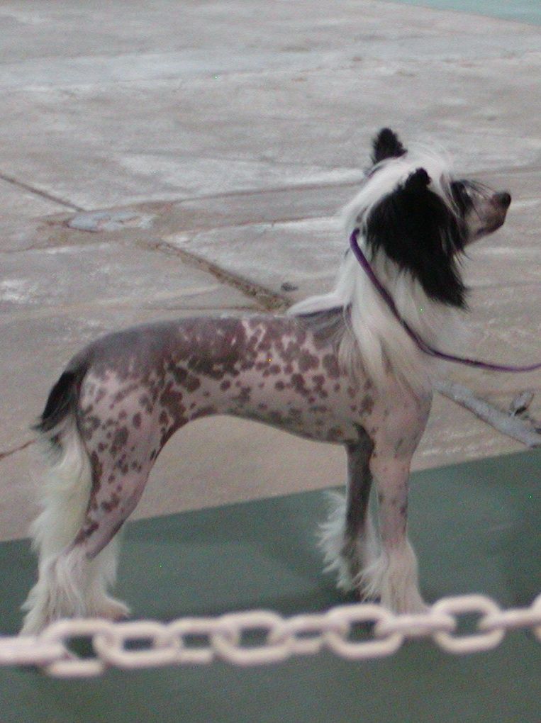 C-Cruz's Pillow Talk