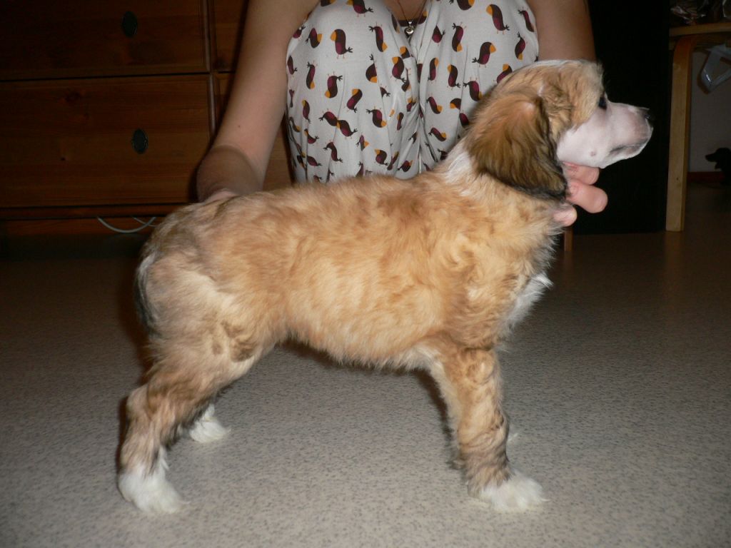 Magic'N Mystic Glimmer Of Hope