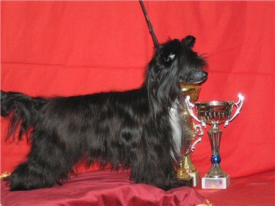 Rus Foreva Best i ya 