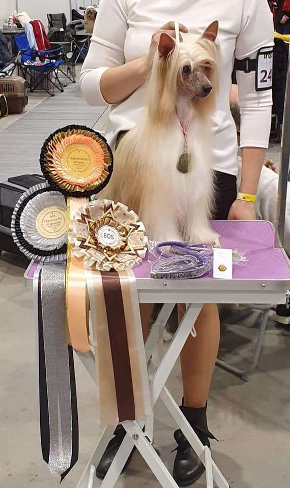 Carmen Wiatr Pustyni