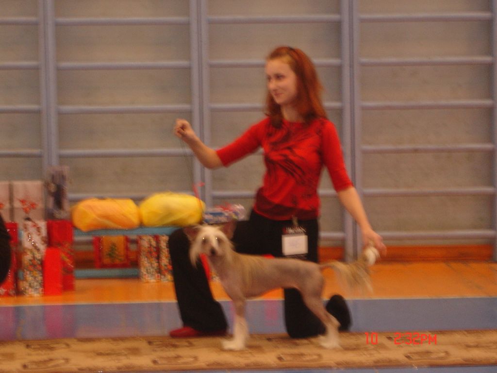 In-Sa-In Bonarita Svift