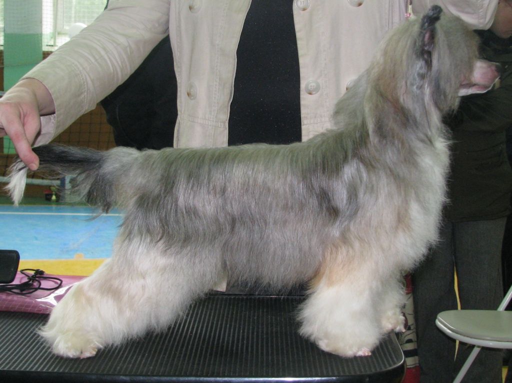 Vivat Sanraiz Jakitoria