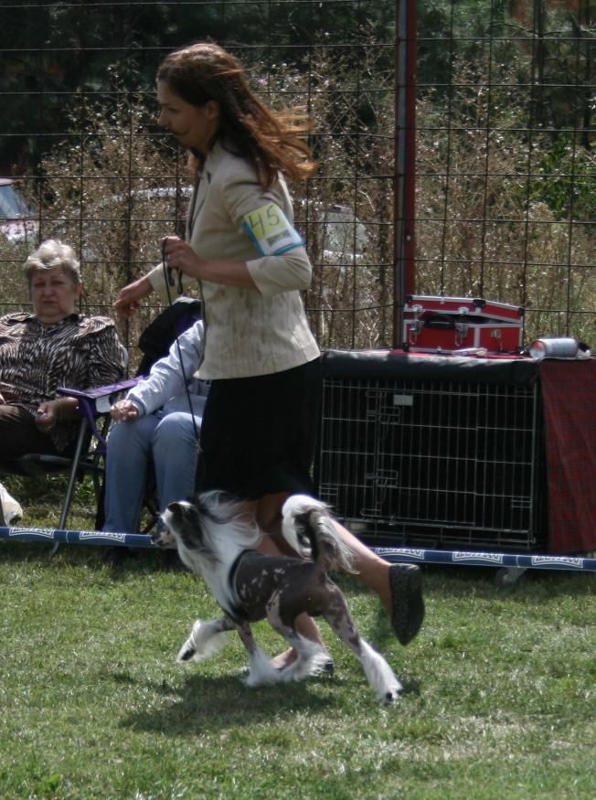 Vivat Sanraiz Oliver Tvist