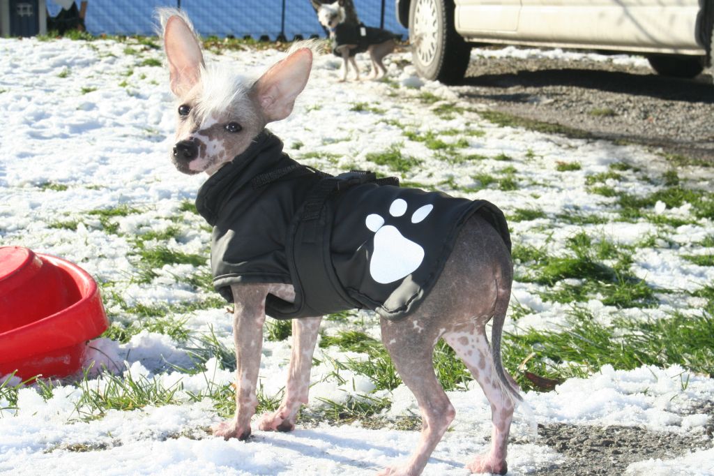 Local Hero's Winner Lady