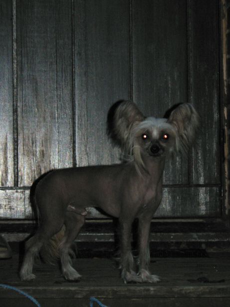 Glorious Always First