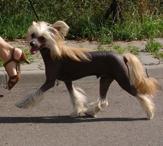 Secret Slodki Jak Miod