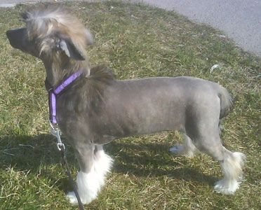 Marachinos Know It All