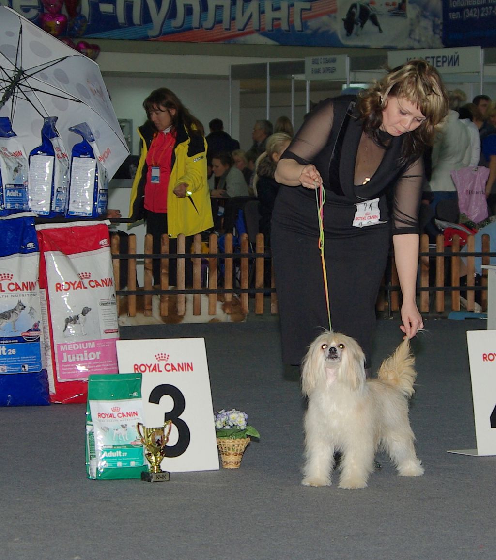 Irgen Gold Sandra Ballok