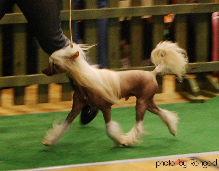 Aston Martin Gattaca