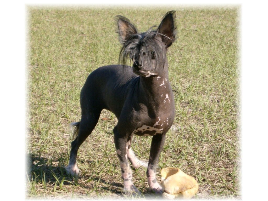 D'nude's Love The Skin I'm In