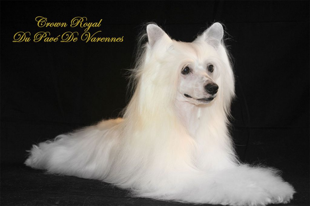 Crown Royal Du Pave De Varennes