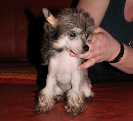 Optimum Risk de GabriTho