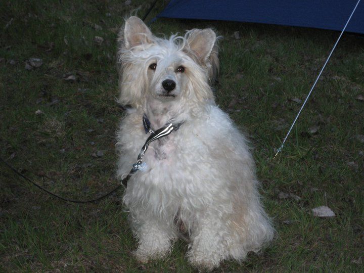 Drömtorpet's Palazzo Of S Kid