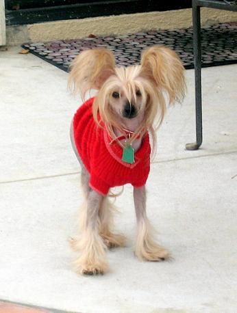 OzarkCavern 2 Resist is Futile