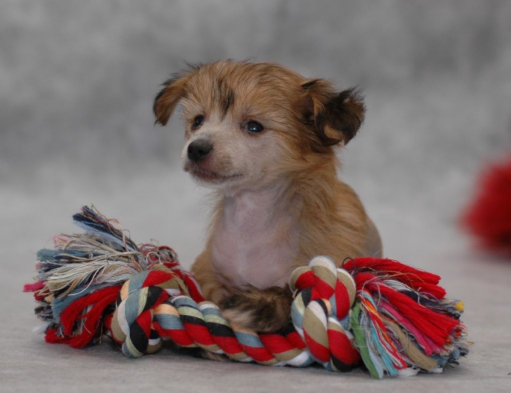 Ksolo Club Tais Afhens