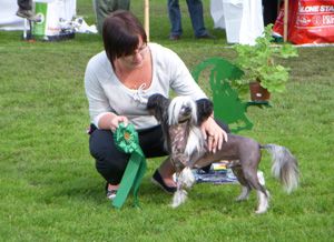 Jafari's Casino Clubbin