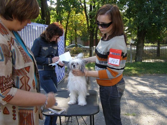 Atlant Kordiall Zeya Feya