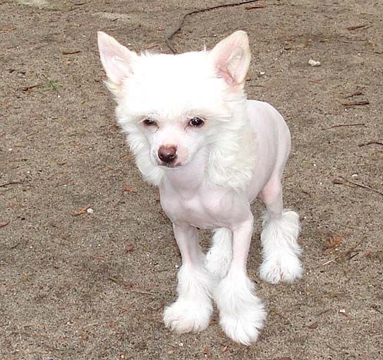 My Longtime Companion Eileen