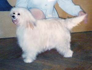 Olegro Katrin Barbariska