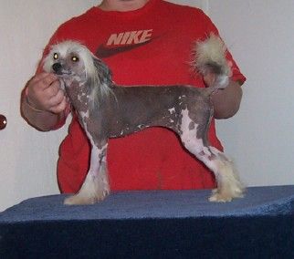 Mosaic Something To Remember