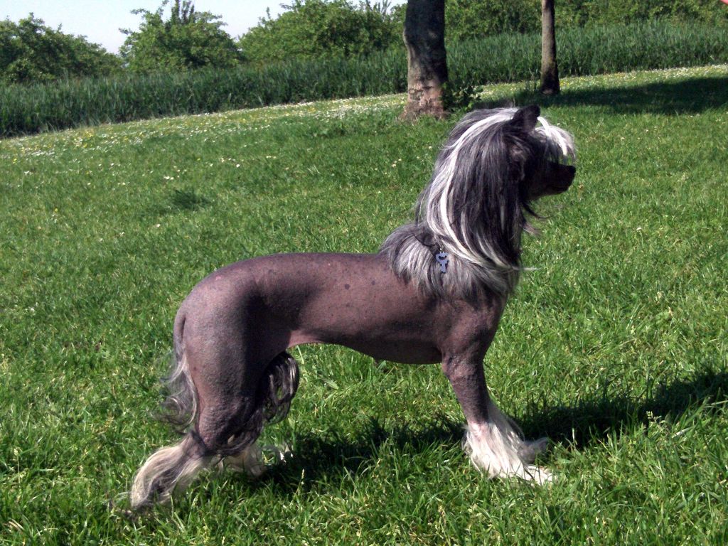 Naomi z Jasné Hvezdy