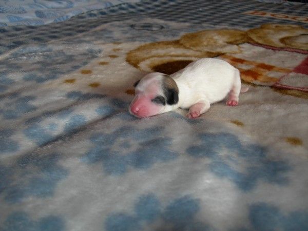 Cirwen of Crazy Debbie