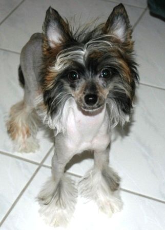 Quantara Mystery Of Avalon