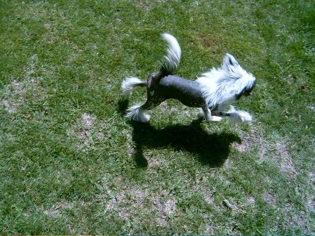 Blackheath  Lilbitaheaven