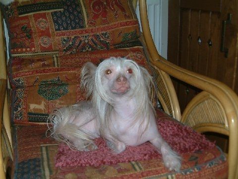 Konishiki Nicely Made