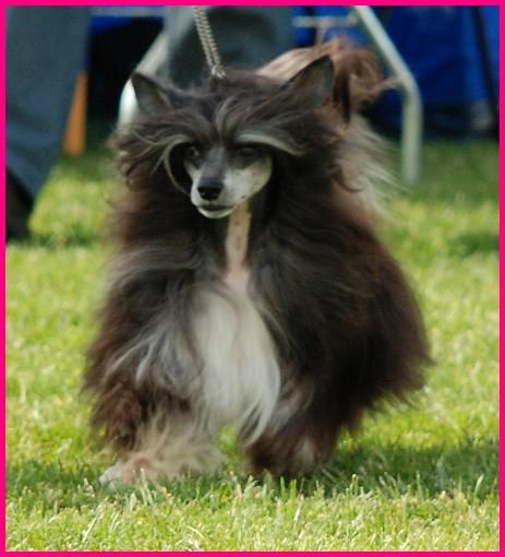 Backlyans One In A Million