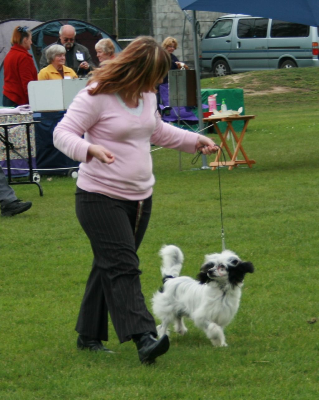 The Pharaoh of Lansky