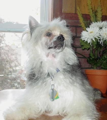 Pelkey's Won't You Be My Teddy Bear