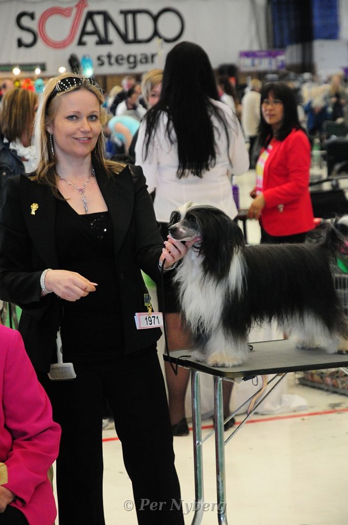 Chi Harley's Black Dark