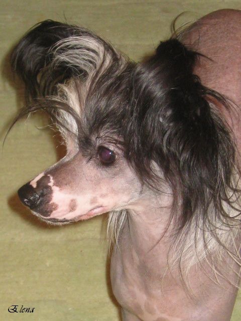 Chattanooga's All That Glow