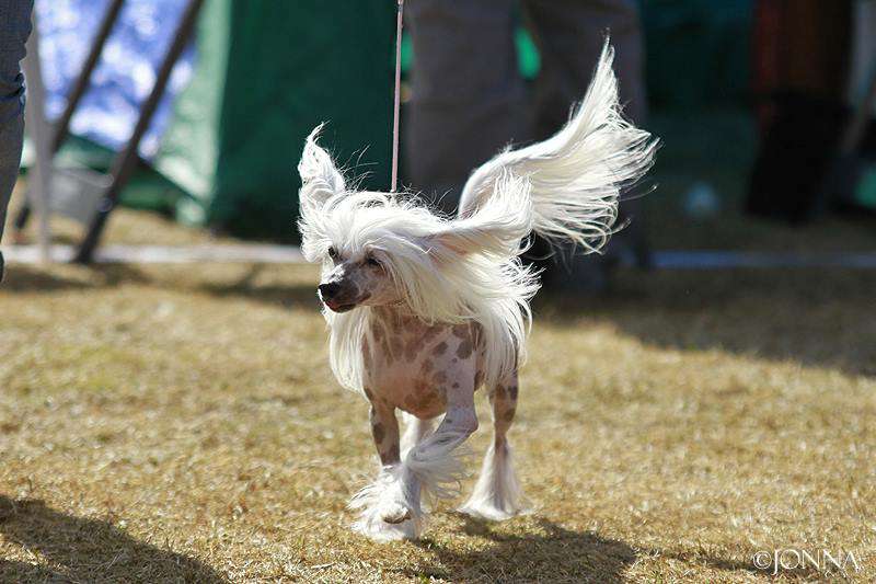 Chattanooga's All By Myself