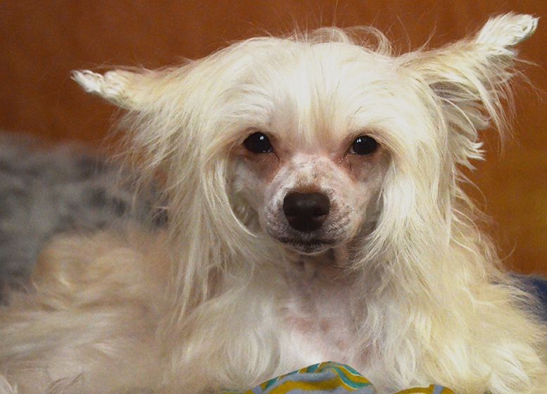 Enter To Mictlan Öster-Lina