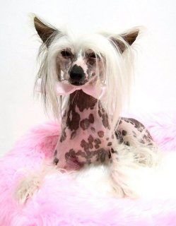 H&H Little Princess Asia