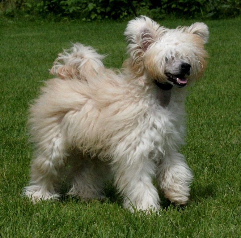 I'skytrouble's James Dean