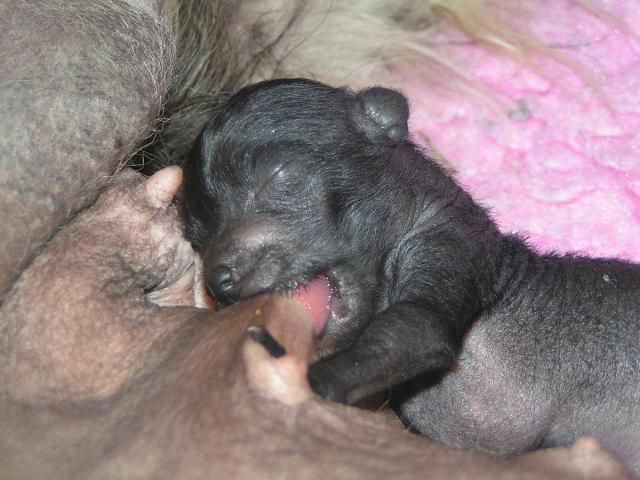 Lucky Line's Grace Kelly