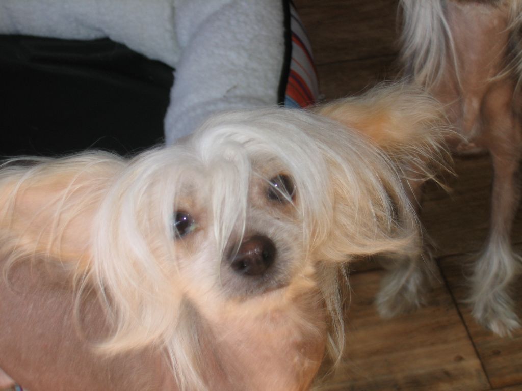 Villa Nobility Pia-Lotta